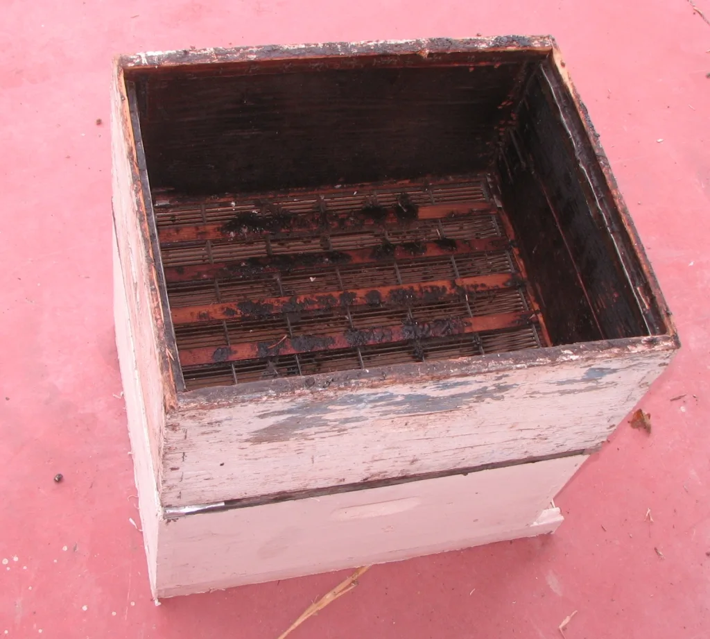 Ul Langstrotha